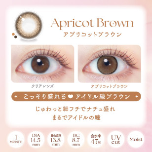 EverColor1month – Apricot Brown 月拋 每盒2片